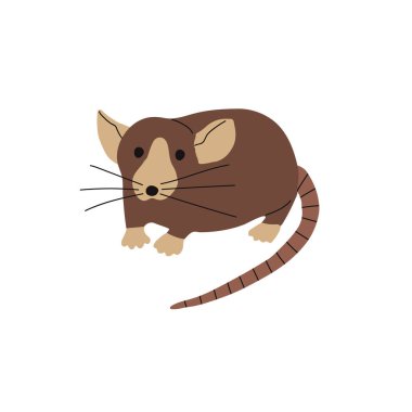 Evcil Sıçan 'ın düz tasarımı. Vektör illüstrasyonu beyaz arkaplanda izole edildi.