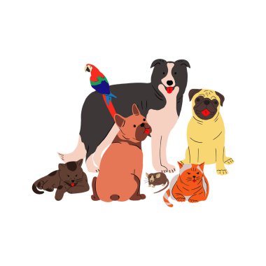 Evcil hayvanlar grubunun şirin bir portresi. Mutlu köpekler, farklı cinsten köpekler, kediler ve papağanlar birlikte poz veriyor. İngiliz Bulldog, Pug, Border Collie ile komik köpek çetesi. İzole edilmiş düz vektör çizimi