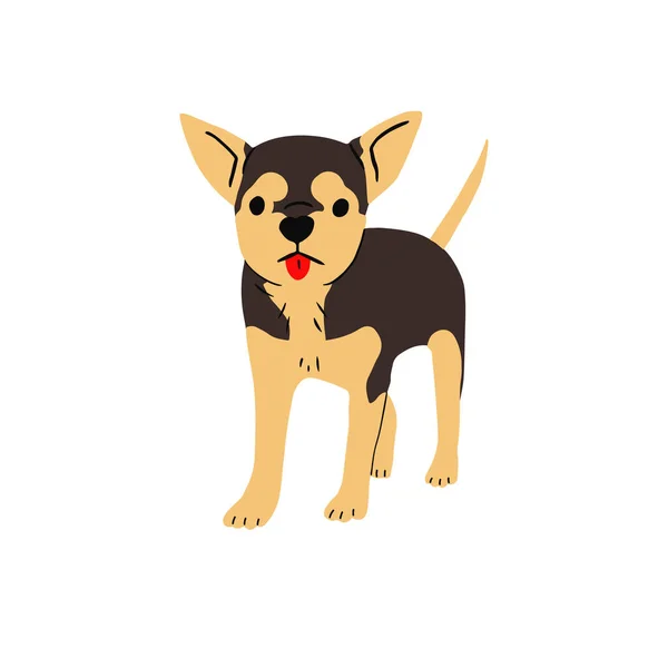 Cute Puppy Chihuahua Breed Walking Tongue Out Funny Canine Animal — Vector de stock