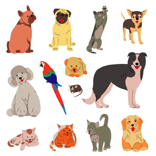 Big Collection Cute Domestic Pets Portrait Happy Doggies Puppies Different — Vetor de Stock