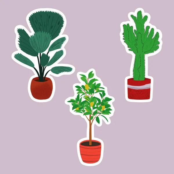 Stickers Collection Potted House Plants Natural Green Home Decor Flat — 图库矢量图片