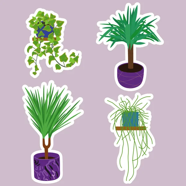 Stickers Collection Potted House Plants Natural Green Home Decor Flat — 图库矢量图片