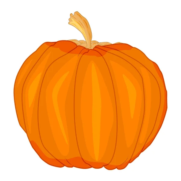 Kürbis Isoliert Auf Weißem Hintergrund Orangefarbenes Symbol Für Squash Halloween — Stockvektor