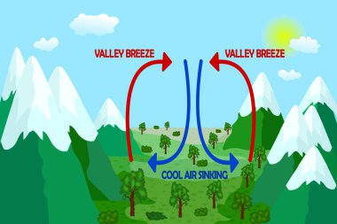 Vadi esintisi. Dağ rüzgârı yön şeması. Dünya yüzeyinden hava akımı. Isınmamış ve serinletici. Dağ kenarları eğitim diyagramı. Termal sıcak ve soğuk hava dolaşımı şeması. Yerel hava durumu. Stok vektör illüstrasyonu