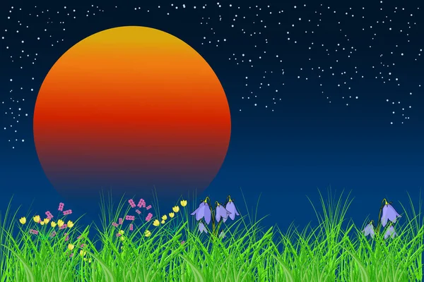 オレンジの太陽と美しい夜の牧草地 コピースペースと日の出の風景 月と夜の背景 星空と草 夏の田園地帯の草の国境と真夜中の空 ストックベクトルイラスト — ストックベクタ