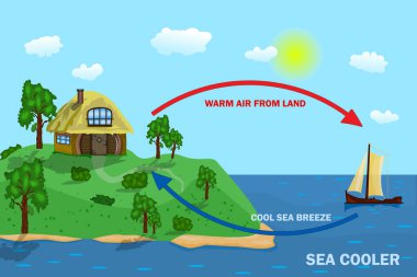 Deniz ve kara esintisi için bilim posteri tasarımı. Termal sıcak ve soğuk hava dolaşımı şeması. Dolaşım şeması termal ve serin rüzgar gösteriyor. Yerel hava durumu. Stok vektör illüstrasyonu