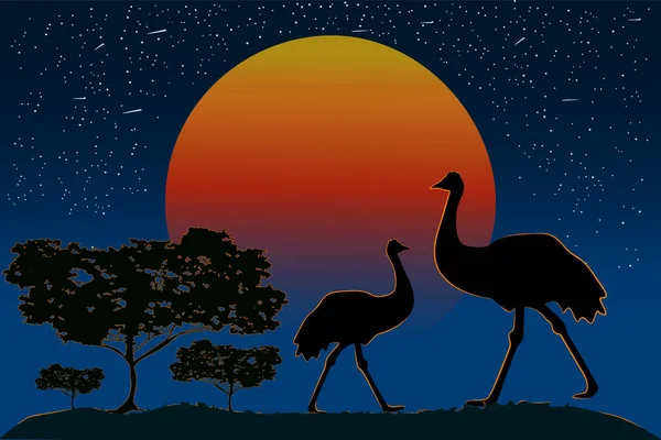 Silhouette Einer Emu Familie Vor Dem Hintergrund Des Sonnenuntergangs Zwei — Stockvektor