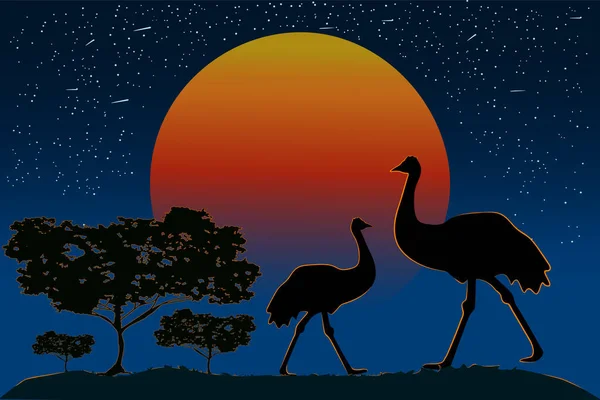 Silhouette Emu Family Sunset Background Two Ostrich Australian Landscape Orange — Stock Vector