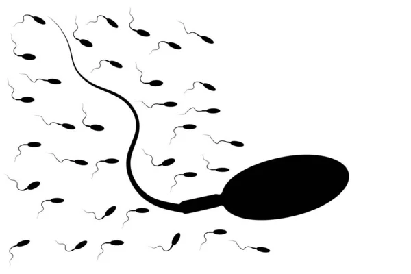 Sok Sperma Izolált Fehér Alapon Sperma Sziluettek Tojás Felé Futnak — Stock Vector