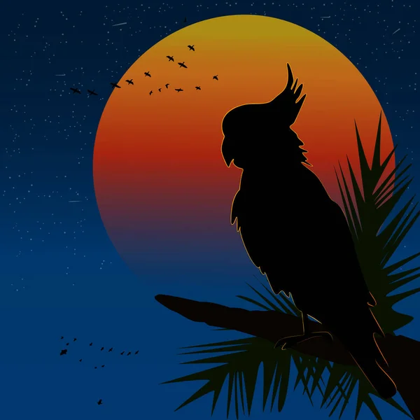 夕暮れ時のコカトゥー 日没の背景にオウムのシルエット コカトゥーヤシの木の間の枝に座っている 大きなオレンジ色の赤い太陽と星空の背景にオーストラリアのオウム 熱帯鳥だ ストックベクトルイラスト — ストックベクタ