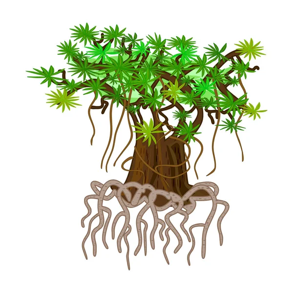Mangrove Tree Rooted Isolated White Background Tropical Tree Tangled Underwater — Stok Vektör
