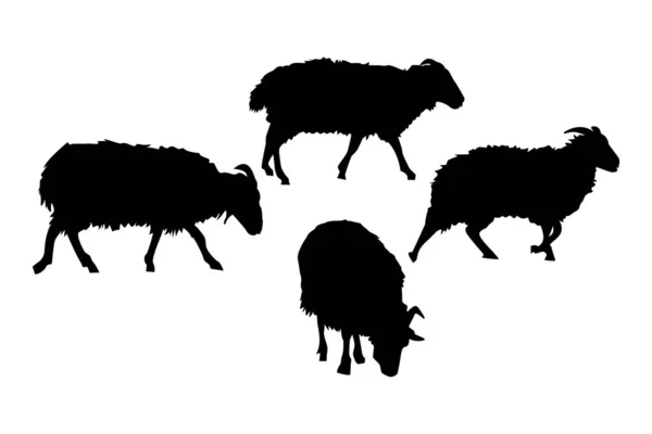 Sheeps Silhouettes Set Isolated White Background Farm Animals Animal Husbandry — Stockvektor