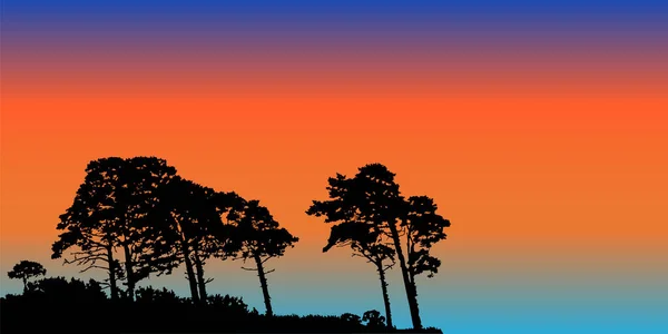 Pines Trees Silhouettes Sunset Wild Landscape Woodland Coniferous Trees Evening — Stock Vector