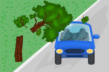 Kırık ağaç arabanın üstüne düştü. Mavi otomobil çatısına ve ön cama ağaç devrilmiş. Araba devrilmiş ağaçtan hasar görmüş. Doğal afet sigortası. Trafik kazası ya da tehlikeli bir durum. Stok vektör illüstrasyonu