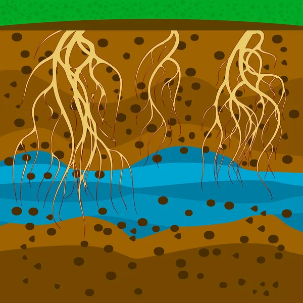 Racines Dans Sol Plantez Les Racines Sous Terre Couches Sol — Image vectorielle