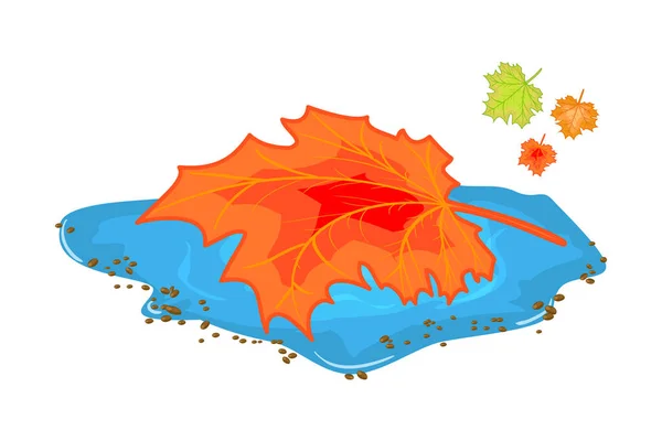 Listy Kaluži Izolované Bílém Pozadí Podzimní Oranžový Javorový List Plovoucí — Stockový vektor