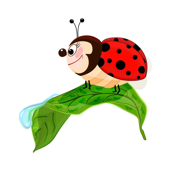 Ladybird Blad Geïsoleerd Witte Achtergrond Leuke Tekenfilm Lieveheersbeestje Kruipend Blad — Stockvector