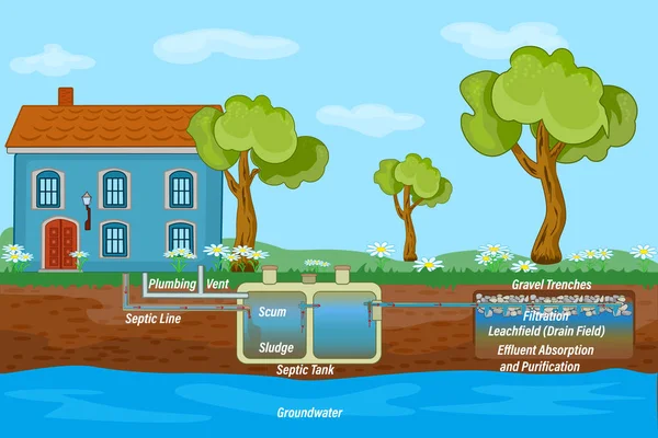 Casa Móvil Sistema Séptico Esquema Campo Drenaje Diagrama Subterráneo Del — Vector de stock