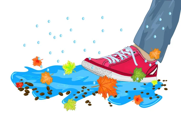 Leg Shoe Puddle Maple Leaves Rain Drops Isolated White Background — Stock Vector