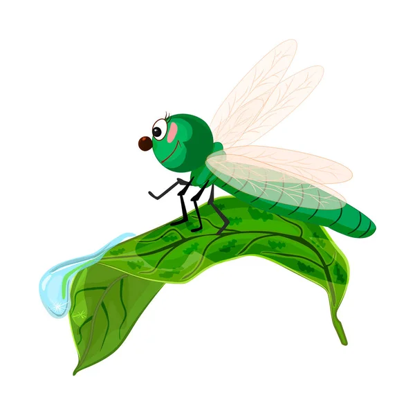 Dragonfly Leaf Isolated White Background Cute Cartoon Insect Crawling Leaf — ストックベクタ