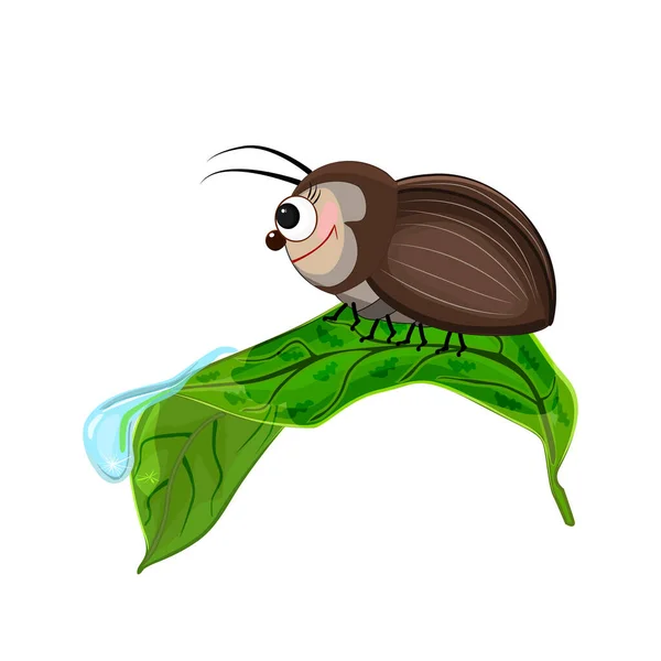 Bug Leaf Isolated White Background Cute Cartoon Beetle Crawling Leaf — Stockvektor