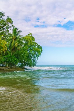 Pargue Nacional Cahuita, güzel tropikal Karayip plajı, Cahuita, Kosta Rika doğu kıyısı