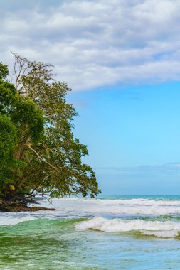 Pargue Nacional Cahuita, güzel tropikal Karayip plajı, Cahuita, Kosta Rika doğu kıyısı