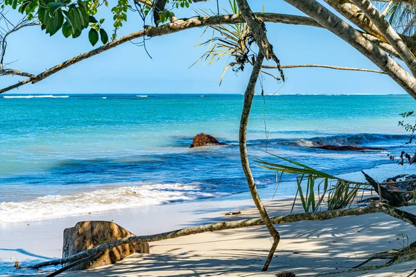Cahuita Ulusal Parkı, güzel tropikal Karayip plajı, Cahuita, Limon bölgesi, Kosta Rika doğu kıyısı