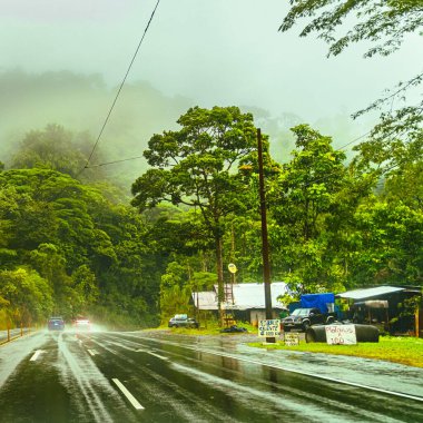 Anıtlardaki güzel yol, Kosta Rika yağmur ormanları yolları, Heredia ili, Kosta Rika