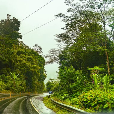 Anıtlardaki güzel yol, Kosta Rika yağmur ormanları yolları, Heredia ili, Kosta Rika