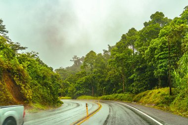 Anıtlardaki güzel yol, Kosta Rika yağmur ormanları yolları, Heredia ili, Kosta Rika