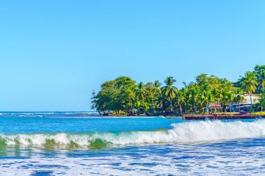 Playa Cocles, güzel bitki örtüsü olan tropikal plaj Karayip plajı, Puerto Viejo, Kosta Rika doğu kıyısı
