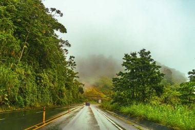 Anıtlardaki güzel yol, Kosta Rika yağmur ormanları yolları, Heredia ili, Kosta Rika