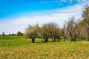 Lancaster, Pa Us Amish ülke çiftlik ahır tarla tarım