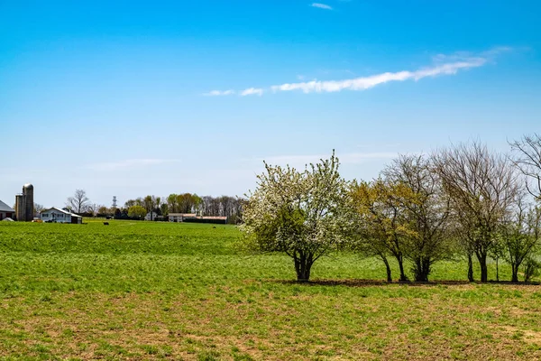 Amish Campo Granja Granero Agricultura Lancaster — Foto de Stock