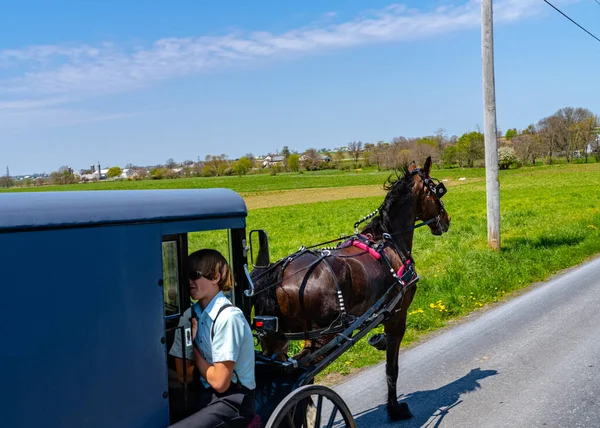 Amish Country Kilátás Egy Kocsi Lancaster — Stock Fotó