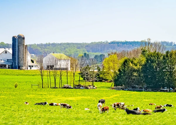 美国宾夕法尼亚州兰开斯特农场 家庭和谷仓的田园农业 — 图库照片