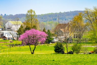 Lancaster, Pennsylvania, PA Kuzey Amerika 'da tarım alanında Amish ülkesi, çiftlik, ev ve ahır..