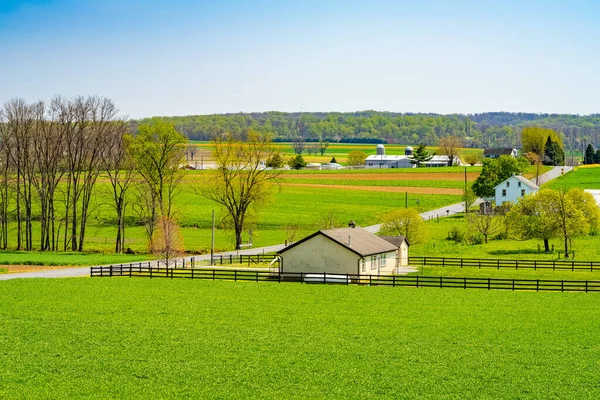 Amish Country Farm Home Barn Field Agriculture Lancaster Pennsylvania North — Foto de Stock