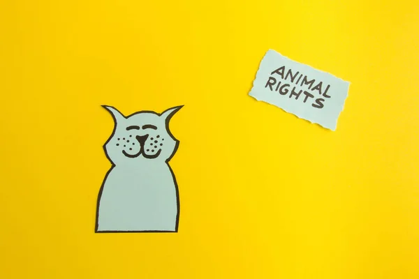 Dibujo Perro Feliz Con Inscripción Sobre Fondo Amarillo Concepto Derechos — Foto de Stock