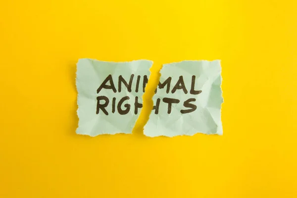 Texto Los Derechos Los Animales Escrito Mano Papel Roto Nota — Foto de Stock