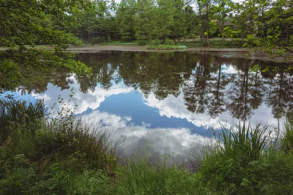 Маленькое Озеро Лесу Летом Отражения Неба Воде Красивый Природный Пейзаж — стоковое фото