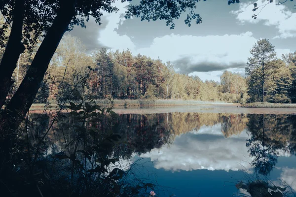 Małe Jezioro Lesie Latem Niebo Odbija Się Wodzie Piękny Krajobraz — Zdjęcie stockowe