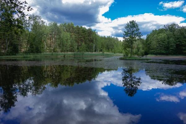 Małe Jezioro Lesie Latem Niebo Odbija Się Wodzie Piękny Krajobraz — Zdjęcie stockowe