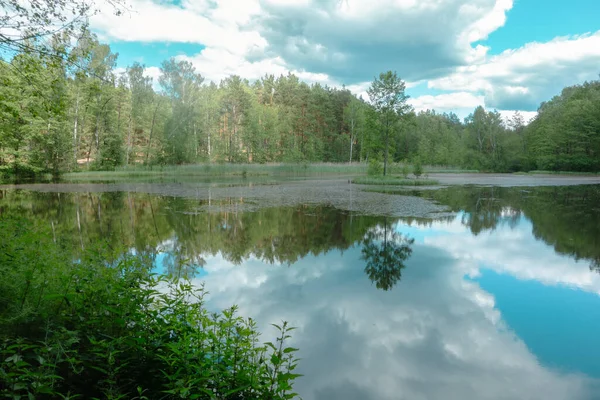 Маленькое Озеро Лесу Летом Отражения Неба Воде Красивый Природный Пейзаж — стоковое фото