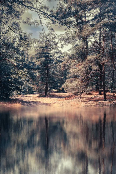 Malownicze Leśne Odbicie Rzeki Ciągu Dnia Piękny Krajobraz Naturalny — Zdjęcie stockowe