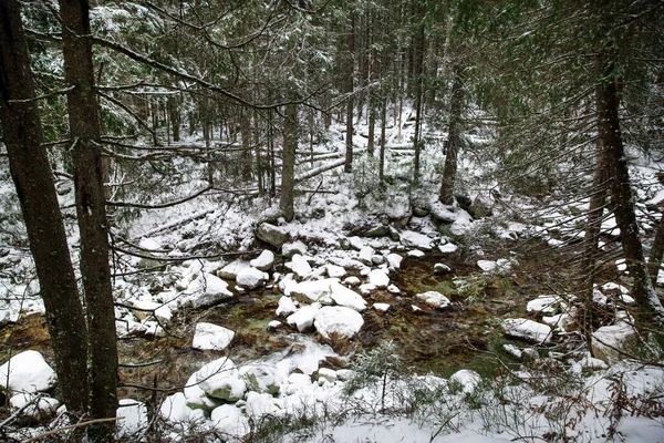 Inverno Nas Montanhas Pequeno Rio Muitos Abetos Pinheiros Cobertos Neve — Fotografia de Stock