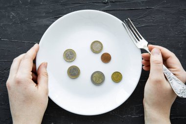 Yiyecek konseptine harcanan para kara sırtlı köpeğe harcanır. Tabakta avrupa sikkeleri ve kadın elleri, üst manzara. Mali kriz kavramı.