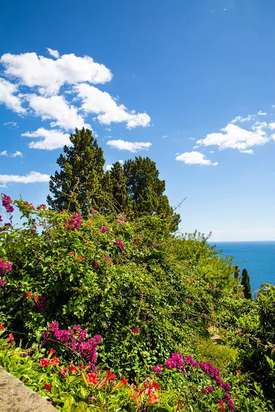 Gyönyörű Park Taorminában Szicília Szigetén Olaszországban Földközi Tengeri Kilátás — Stock Fotó