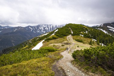 Polonya dağlarındaki güzel Tatras manzarası. Karla kaplı tepeler. Wolowiec Yolu. 